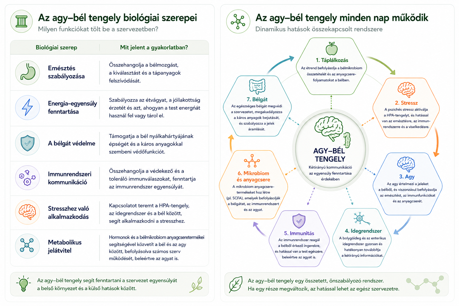 Biological Role of the Gut–Brain Axis